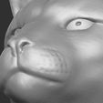 21.jpg Cougar / Mountain Lion head for 3D printing