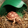 Capture d’écran 2017-12-05 à 13.25.50.png Tortoise Shelter (with pole)