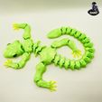 IMG_17465.jpg Funny Lizard Gecko - Articulated - Print in Place - No Supports - Flexi
