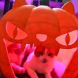 DSC_1186.jpg Giant Jack O Lantern Pumpkin Pet Bed