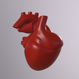 a006_Camera-1.png Archivo STL Corazón humano・Diseño de impresión en 3D para descargar