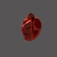 16.png HEART SEGMENTAION WITH CUT SECTIONS