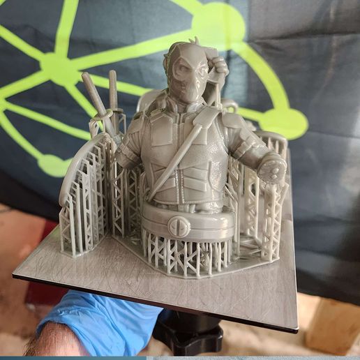 print1.jpg BUSTS pack