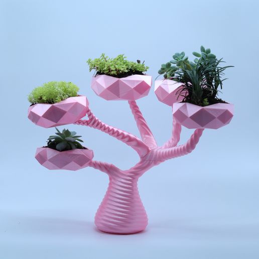 Modern Bonsai Flowerpot STL File for Cults
