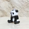 IMG_8158.jpg PANDA