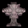 4.jpg Exotic Bully Armor