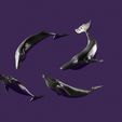 08.jpg four whales in different positions. toy