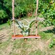 IMG_20230909_152712_931.jpg Air plant swing support