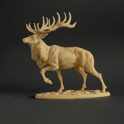 IMG_1330_1.jpg Archivo 3D Alce・Modelo imprimible en 3D para descargar