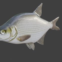 Lesh.jpg Free STL file Fish model bream・Template to download and 3D print