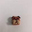 IMG_20230110_162348.jpg Keycaps pug dog head