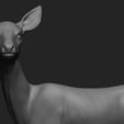 16.png Deer