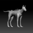 wd1.jpg War Dog 3d model for 3d print - big dog - scary dog
