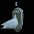 zander-head-trophy-28.png fish head trophy zander / pikeperch / Sander lucioperca open mouth statue detailed texture for 3d printing