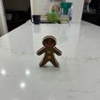 IMG_4869.jpg Gingerbread Boy