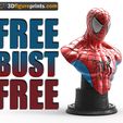 82093738_1259302344254784_8685508944459726848_n.jpg Free STL file Bust Spiderman・3D printer design to download