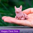 IMG_3050.jpg STL file Corgi dog print in place articulated flexi toy・Design to download and 3D print