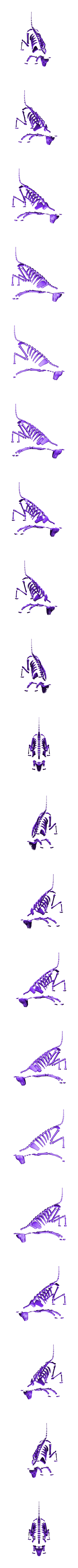 dog_multi1.stl argila de polímero