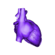 heart.stl Human Heart