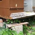 20230423_151948.jpg Clip-on hornet muzzle for beehives