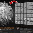 60-VDM-and-Alpha-Hair-and-Fur-Brushes-for-ZBrush-Sculpted-By-Yacine-BRINIS-Volume-01-Set-008.jpg 60 VDM and Alpha Texture Hair and Fur Brushes Volume 01