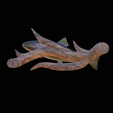 pstruh-8.png rainbow trout underwater statue on the wall detailed texture for 3d printing