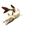 0_00076.jpg PIKE FISH Esox Masquinongy FISH ANIMAL SEA 3D MODEL 3D - FISH Muskellunge MONSTER HUNTER RAPTOR DINOSAUR RAPTOR 3D MODEL