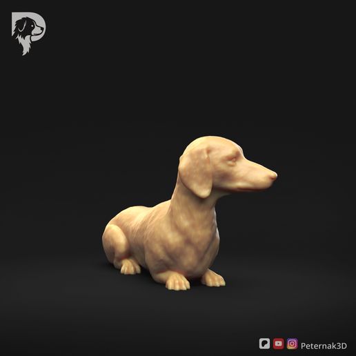 Dachshund-Smooth-Haired-Pose-09-Dog-3D-Print-2s.jpeg Teckel à poil lisse Pose 09