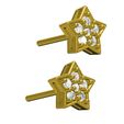 08.jpg Star Stud Earring