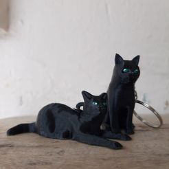 WhatsApp-Image-2023-02-20-at-12.27.50-1.jpeg STL file (x2) Cat keychains・3D printable model to download