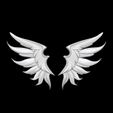 wings.jpg wings