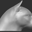 10.jpg Cougar / Mountain Lion head for 3D printing