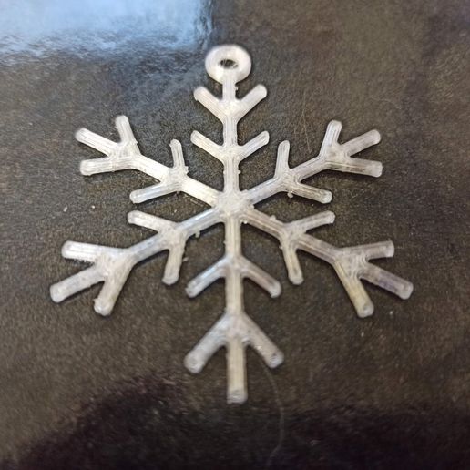 WhatsApp-Image-2021-11-16-at-19.38.35.jpeg Snowflake