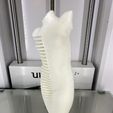 IMG_3930.jpg STL file Female Torso Comb・3D printable model to download
