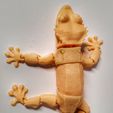 Gecko Crestado Juguete Articulado, Cuerpo Print-In-Place, Cabeza Snap-Fit, Lindo Flexi