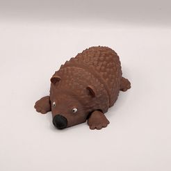 IMG_5945.jpg Файл STL Flexi Hedgehog・Модель 3D-принтера для скачивания