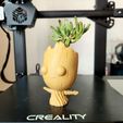 WhatsApp-Image-2023-08-25-at-5.26.39-PM.jpeg Baby Groot Planter