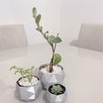 6726274d-e9e4-4d06-8e9d-a92f3d2fd585.jpg Vaso per piante esagonale
