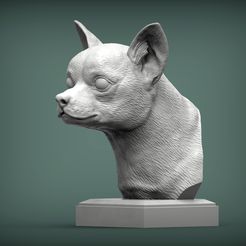 chihuahua1.jpg Archivo STL Busto de chihuahua Modelo impreso en 3D・Modelo para descargar y imprimir en 3D