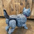 hairy_dog_5.jpg Dog Hairy 3D Model
