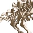 08.jpg stegosaurus, complete 3D skeleton.
