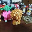1747340688388.jpg Busto Educativo Albert Einstein - 4 Colores AMS/STL | Ciencia STEM Icono Figurilla