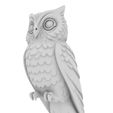 5.jpg Sweet Owl – Niedliche Eule im charmanten Stylized‑Look