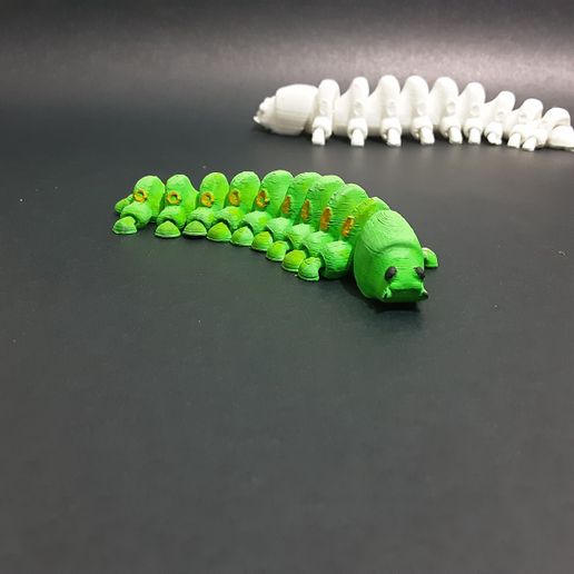 20220307_185648.jpg Caterpillar (Flexi print-in-place)