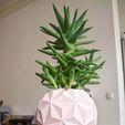 planter_2_small.jpg Free STL file Geodesic Planter Pot・3D print model to download