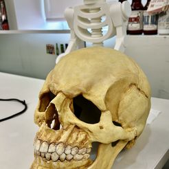 máscara de calavera