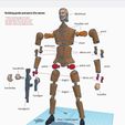guide.jpg JHON WICK FULLY ARTICULATED  ACTION FIGURE  BUILDING KIT 1/10 SCALE