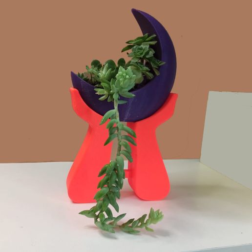 WhatsApp-Image-2023-07-31-at-3.33.36-PM-3.jpeg Pots décoratifs avec base.