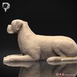 Boxer-Pose-09-Dog-3D-Print-7s.jpeg Chien Boxer Modèle imprimé en 3D Pose 09