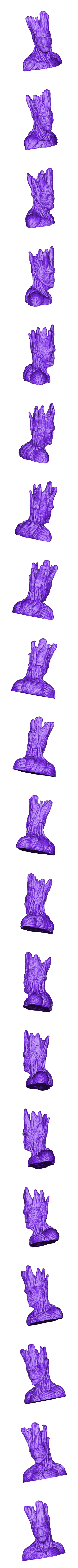 Polysculpt.com_Gout_SLA.stl Grout, le frère de Groot.
